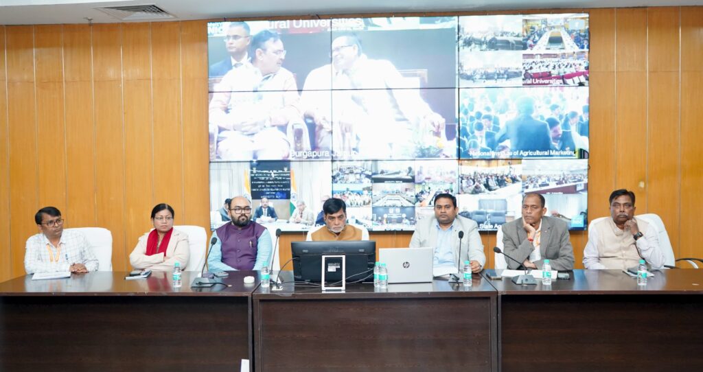 WhatsApp Image 2026-02-17 at 2.26.29 PM