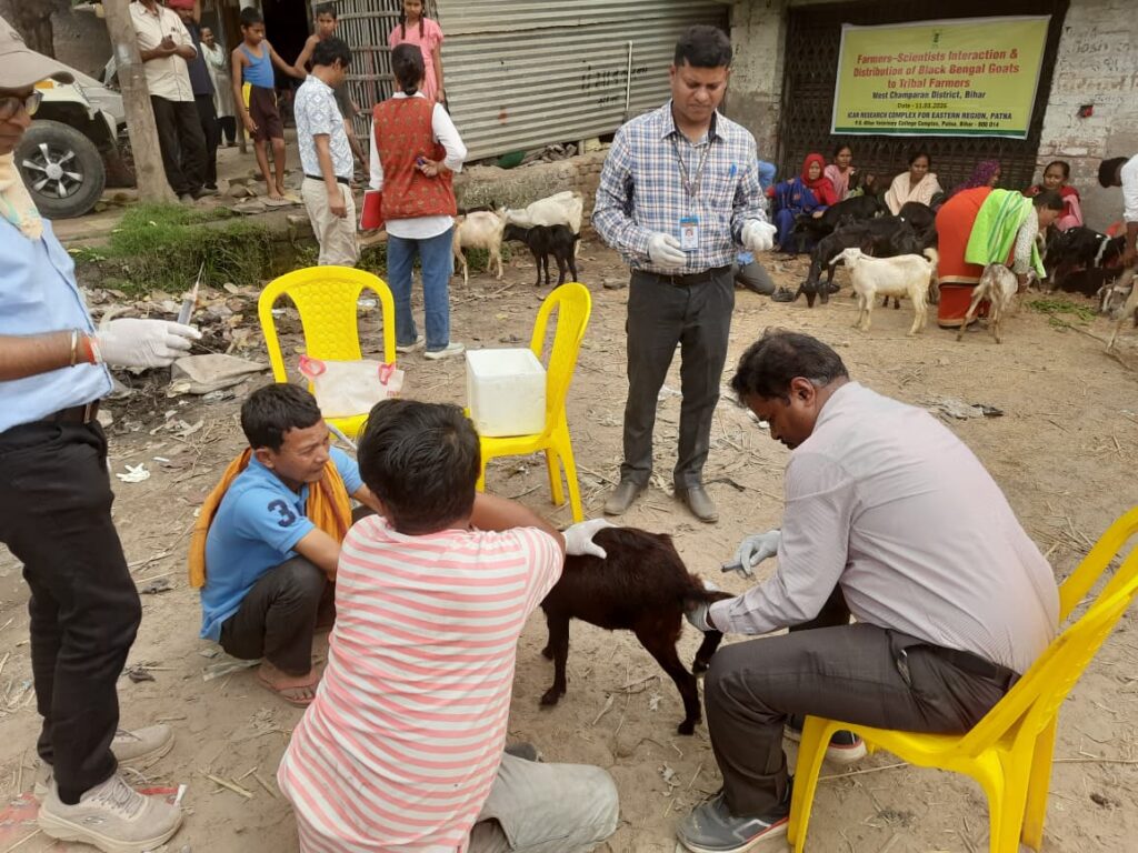 WhatsApp Image 2026-03-11 at 2.48.48 PM