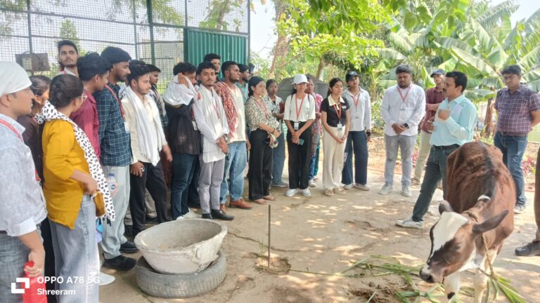 WhatsApp Image 2026-04-17 at 5.43.51 PM