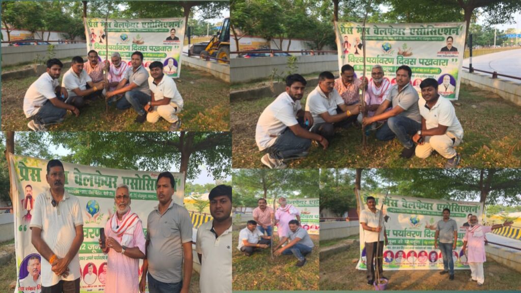 WhatsApp Image 2026-06-08 at 10.01.29 AM